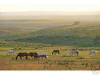 Loving County ten acre ranchette
