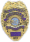 Police and Security Badge